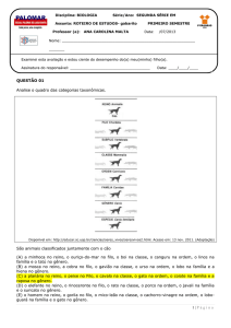 1 | Página QUESTÃO 01 Analise o quadro das categorias