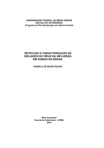 Detecção e caracterização de isolados de vírus da Influenza em