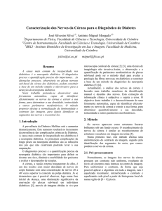 Caracterização dos Nervos da Córnea para o Diagnóstico de