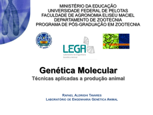 genetica molecular - Universidade Federal de Pelotas