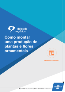 Como montar uma produção de plantas e flores ornamentais