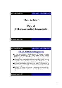 Bases de Dados Parte VI SQL em Ambiente de Programação