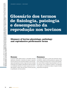 Glossário dos termos de fisiologia, patologia e desempenho da