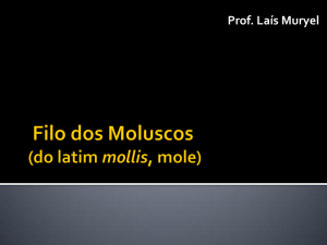 MOLUSCOS (do latim mollis, mole)