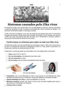 Sintomas causados pelo Zika vírus