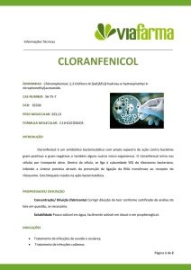 cloranfenicol