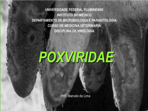 Poxviridae