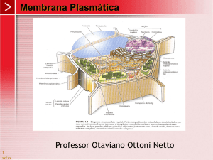 Membranas Celulares