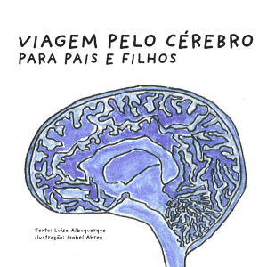 viagem pelo cérebro - Sociedade Portuguesa de Neurociências