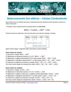 Balanceamento Íon-elétron – Células Combustíveis