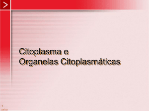 Citoplasma e Organelas Citoplasmáticas