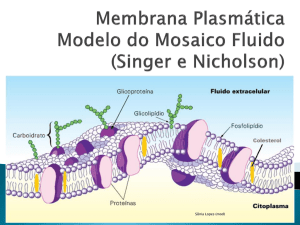 membrana plasmática - Portal