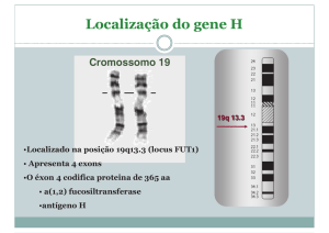 Localização do gene H
