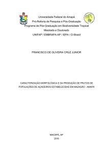 Caracterização morfológica e da produção de frutos de