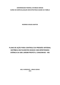 PLANO DE AÇÃO PARA CONTROLE DA PRESSÃO ARTERIAL