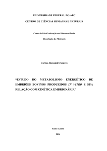 Etudo do Metabolismo Energético de Embriôes Bovinos Produzidos