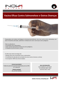 Vacina Eficaz Contra Salmonelose e Outras Doenças
