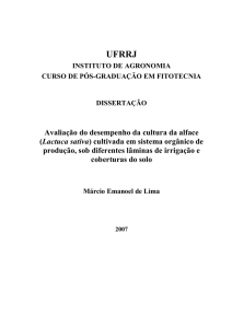 Avaliação do desempenho da cultura da alface (Lactuca