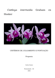 Cattleya intermedia – Critérios de julgamento e pontuação – (2005)