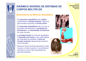 dinâmica inversa de sistemas de corpos múltiplos