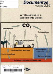 1 - Infoteca-e