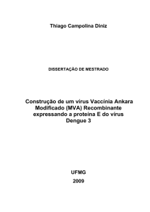 (MVA) Recombinante expressando a proteína E do vírus Dengue 3