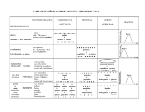 tabela de revisão de aparelho digestivo