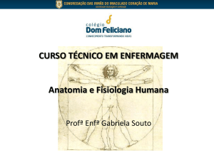 CURSO TÉCNICO EM ENFERMAGEM Anatomia e Fisiologia Humana