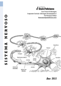 poligrafo neuro &ndash; parte i 2 3