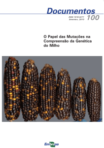 O papel das mutações na compreensão da genética do milho