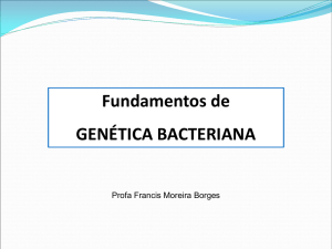 Genética Bacteriana aula 3 Micro I