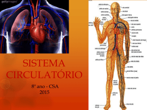 Sistema Circulatório - Colégio Santo Agostinho BH