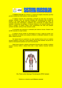 sistema muscular - Apae de Caarapó