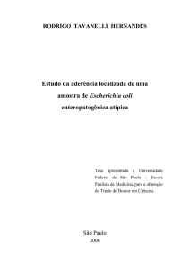 Estudo da aderência localizada de uma amostra de Escherichia coli