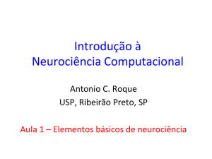 Introdução à Neurociência Computacional