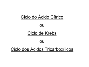 Ciclo do Ácido Cítrico ou Ciclo de Krebs ou Ciclo dos Ácidos