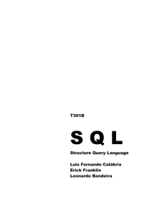 T301B Structure Query Language Luis Fernando Calábria Erick