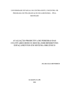 Dissertação em Pdf