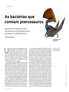 As bactérias que comiam pterossauros