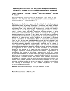 A percepção dos insetos por moradores de agroecossistemas no