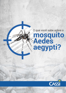 Aedes aegypti