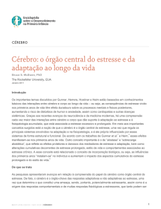 C&eacute;rebro: o &oacute;rg&atilde;o central do estresse e da adapta&ccedil;&atilde;o ao longo da vida
