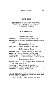 The species of Lucanoid Coleoptera hitherto known as inhabiting