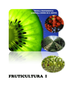 Apontamentos Fruticultura 2013_14,N