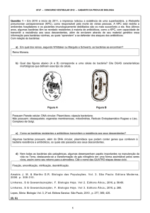 1 Questão 1 – Em 2010 e início de 2011, a imprensa noticiou a