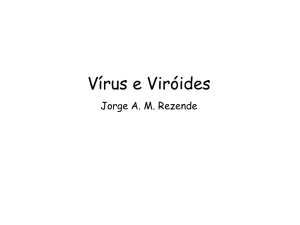 Teórica 4 - Vírus e Viróides