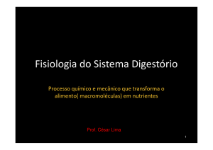 (Microsoft PowerPoint - Fisiologia do Sistema Digest\363rio [Modo