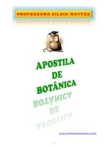 apostila botânica 2015 - Professora Silvia Mattos