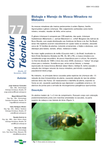 Biologia e manejo de mosca minadora no meloeiro - Infoteca-e