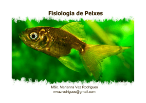 Fisiologia de Peixes